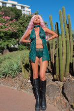 Moss Shorts